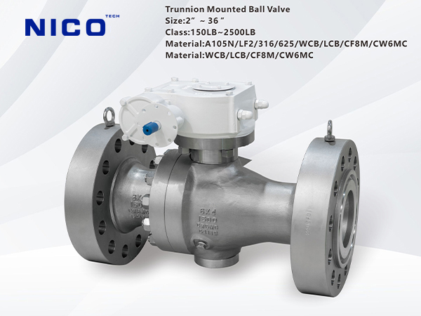 1729232598198294.jpg 8.jpg