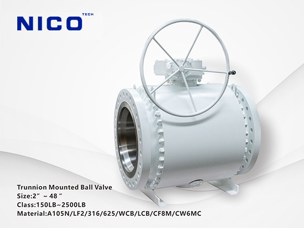 1729232709155065.jpg 16.jpg